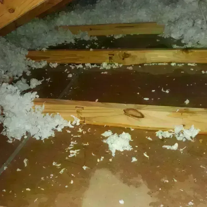 Attic Water Damage in Westhampton, NY